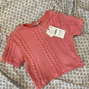 NWT Pink Zara Crop Knit